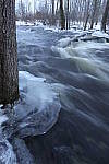 Click to see YIMG-1019-LENS.JPG