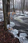 Click to see YIMG-1032-LENS.JPG