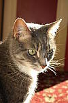 Click to see YIMG-1117-FLASH.JPG