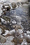Click to see YIMG-1160.JPG