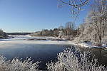 Click to see YIMG-1202.JPG