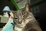 Click to see YIMG-1239-LENS-DOF.JPG