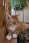 Click to see YIMG-1243.JPG