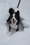 Click to see YIMG-1404-METERING.JPG