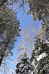 Click to see YIMG-1423-LENS.JPG