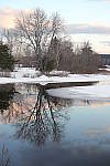 Click to see YIMG-1459.JPG