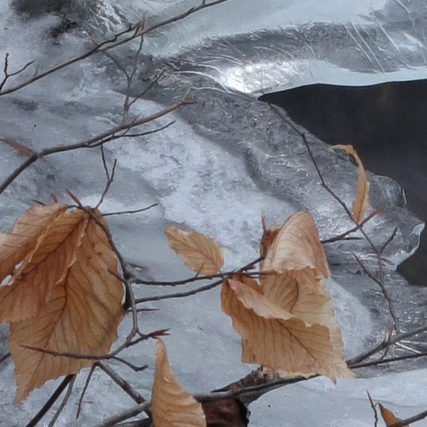Canon G1X III Review: Field Test -- Gallery Image