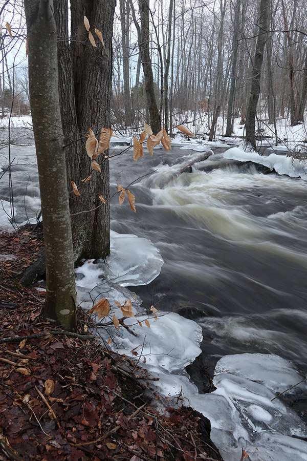 Canon G1X III Review: Field Test -- Gallery Image