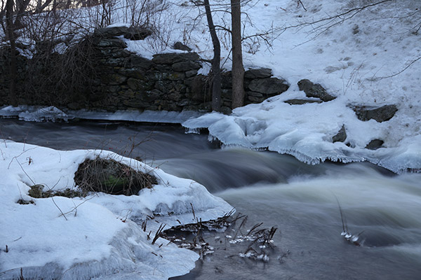 Canon G1X III Review: Field Test -- Gallery Image