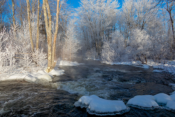Canon G1X III Review: Field Test -- Gallery Image