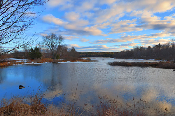 Canon G1X III Review: Field Test -- Gallery Image