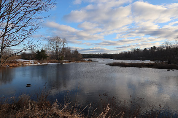Canon G1X III Review: Field Test -- Gallery Image