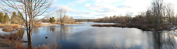 Canon G1X III Review: Field Test -- Gallery Image