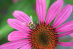 Click to see YIMG_0329.JPG