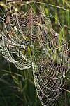 Click to see YIMG_0432.JPG