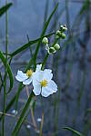 Click to see YIMG_1218.JPG