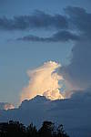 Click to see YIMG_1226.JPG