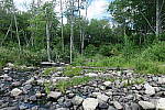 Click to see YIMG_1263.JPG