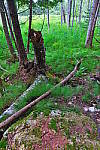 Click to see YIMG_1334.JPG