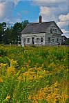 Click to see YIMG_1340.JPG