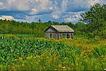 Click to see YIMG_1343.JPG