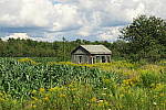 Click to see YIMG_1344.JPG