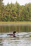 Click to see YIMG_1520.JPG