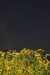 Click to see YIMG_1845.JPG