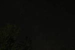 Click to see YIMG_1849.JPG