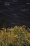 Click to see YIMG_1930.JPG