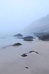 Click to see YIMG_2003.JPG