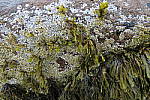 Click to see YIMG_2030-f2.8.JPG