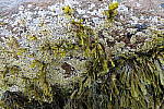 Click to see YIMG_2031-f4.0.JPG