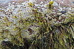 Click to see YIMG_2034-f11.JPG