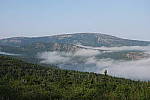 Click to see YIMG_2087-50mm.JPG
