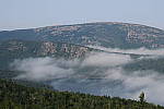 Click to see YIMG_2088-85mm.JPG