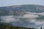 Click to see YIMG_2089-100mm.JPG