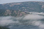 Click to see YIMG_2090-135mm.JPG