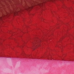 100% crop from Canon G3X test image taken at ISO 125