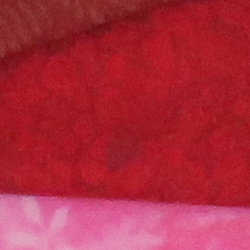 100% crop from Canon G3X test image taken at ISO 1600