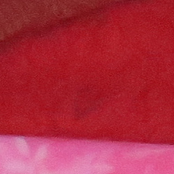 100% crop from Canon G3X test image taken at ISO 3200