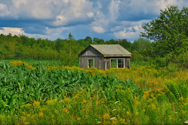 Canon PowerShot G3 X Field Test -- Gallery Image