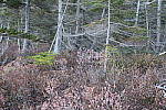 Click to see YIMG_0073.JPG