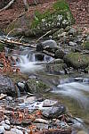 Click to see YIMG_0121.JPG
