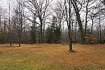 Click to see YIMG_0187-24mm-f2.0.JPG
