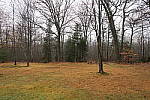 Click to see YIMG_0188-24mm-f2.8.JPG