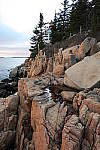 Click to see YIMG_0215.JPG