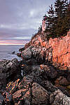 Click to see YIMG_0239-MOD.JPG