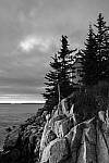 Click to see YIMG_0251-MOD.JPG