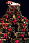 Click to see YIMG_0308-MOD.JPG